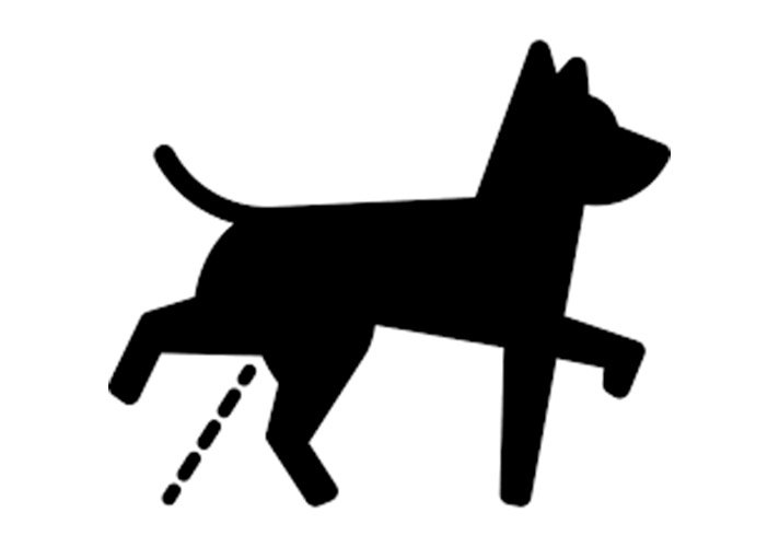 Las Mascotas y la Salud